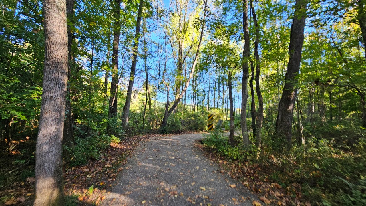 October 9, 2024 #walkingexercise #fountaincity #2024autumn
