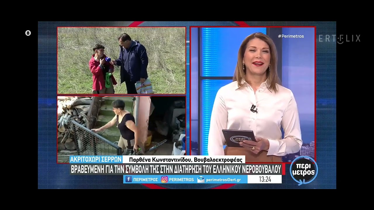 Παρθένα Κωνσταντινίδου: Η μοναδική γυναίκα βουβαλοτρόφος στο νομό Σερρών