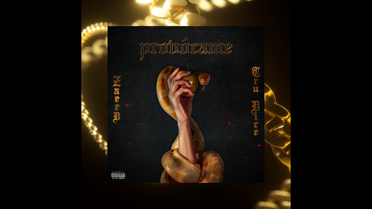 Tru Dice x Zaeed - Provocame