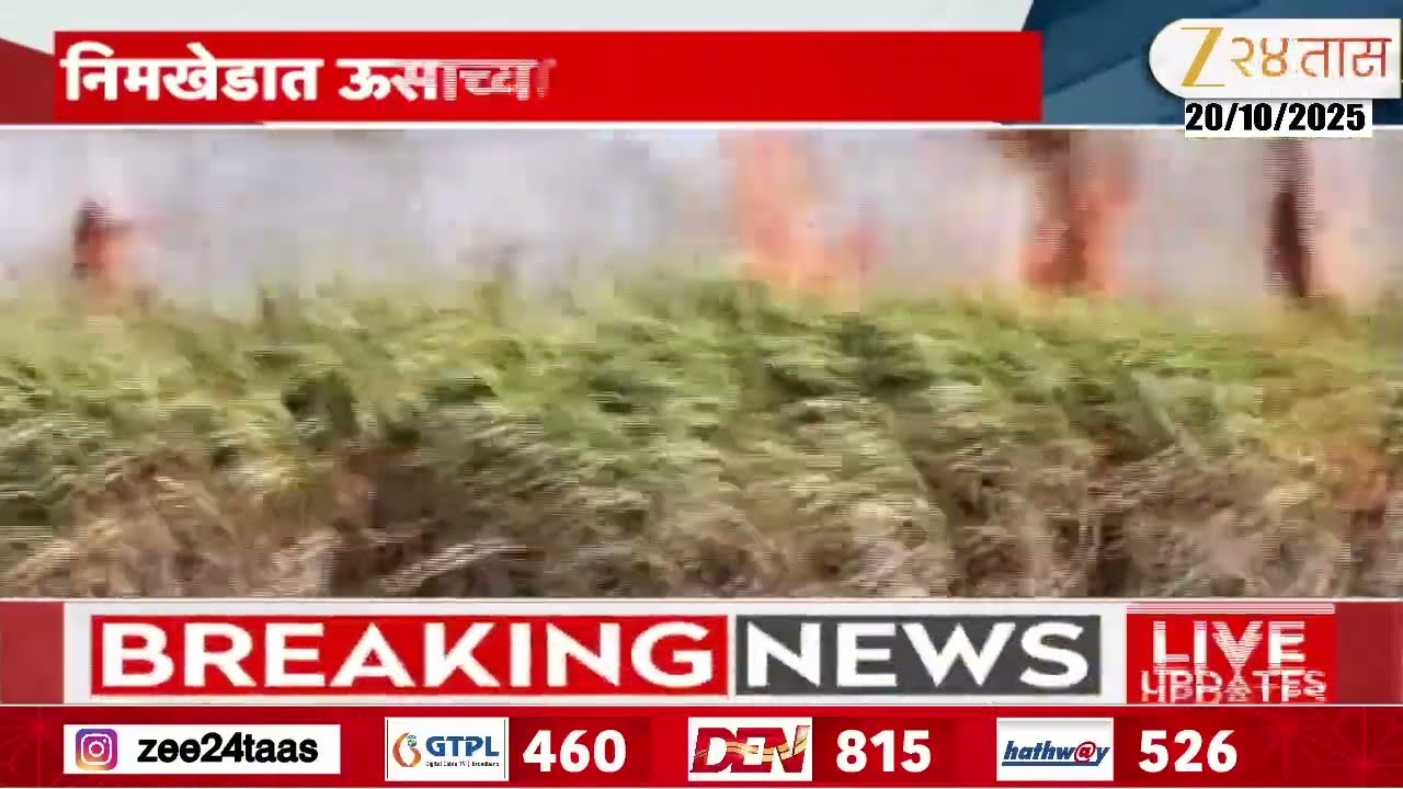 Jalna Neemkheda Sugarcane Farm Fire | जालन्यातील निमखेडात ऊसाच्या शेताला आग, 30 एकर ऊस जळून खाक