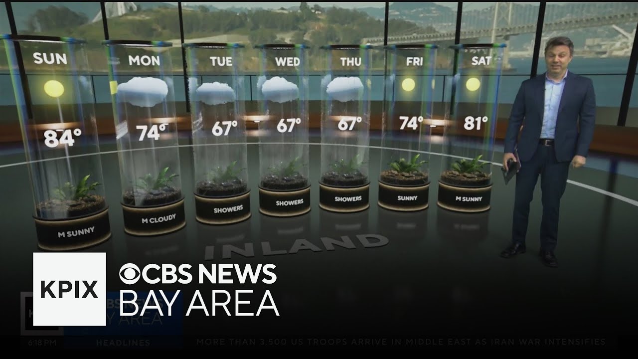 Прогноз погоды на субботний вечер от First Alert - 28.03.2026