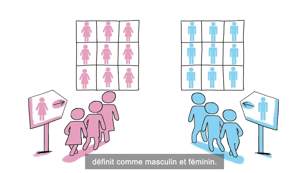 C'est quoi la différence entre le sexe et le genre ?