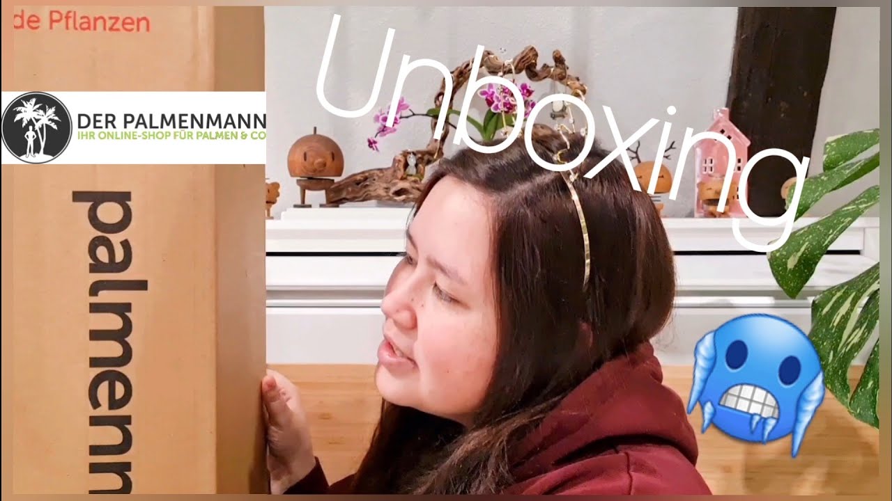15. Adventskalendertürchen 🎄 | Unboxing ✨️ | Palmenmann 🌱