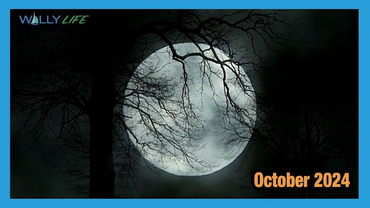 Wally Life October 2024