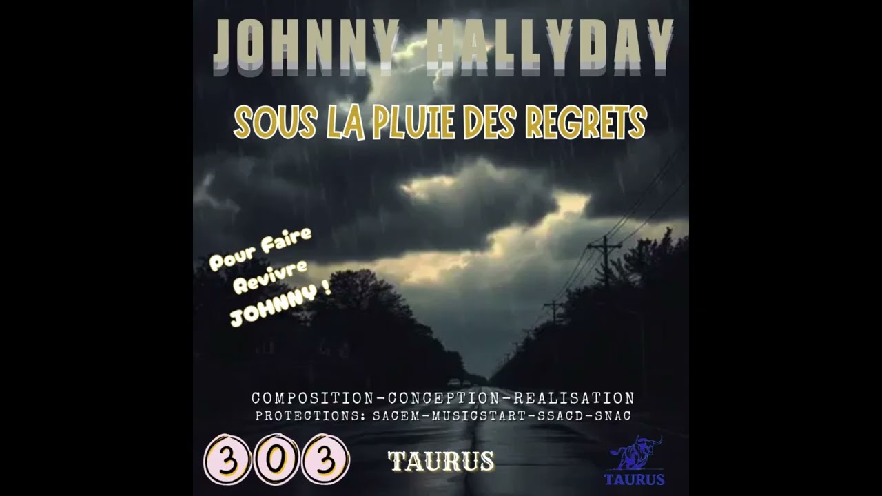 303 SOUS LA PLUIE DES REGRETS