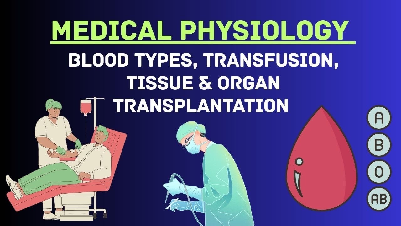 Guyton and Hall Physiology | Chapter 36 | Blood Types, Transfusion, Tissue and Organ Transplantation