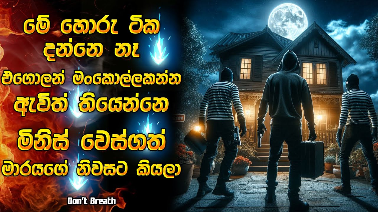 මේ හොරු දන්නෑ එගොලන් මංකොල්ලකන්න ආවේ මිනිස් වෙස්ගත් මාරයගේ ගෙදරට කියලා 😱| Horror recap Sinhala
