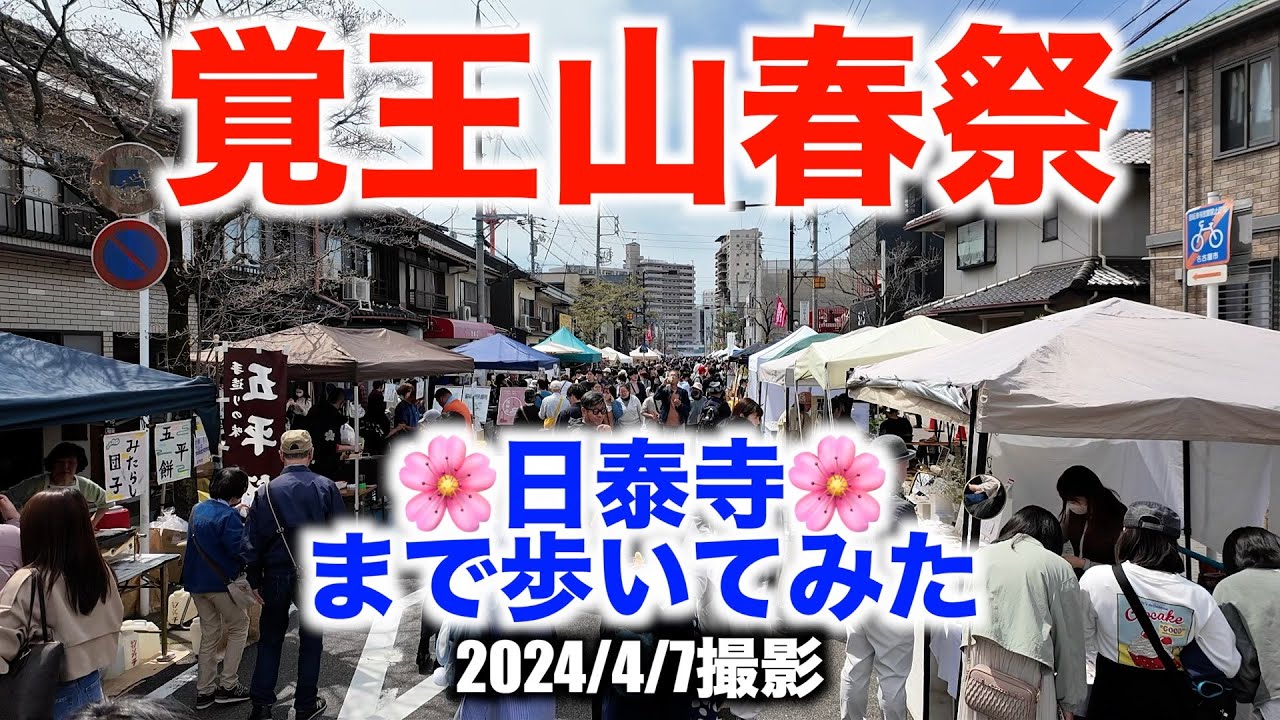 覚王山春祭2024 日泰寺まで歩いてみた 2024/4/7（日）編 Kakuozan Spring Festival 2024 Walking to Nittaiji Temple