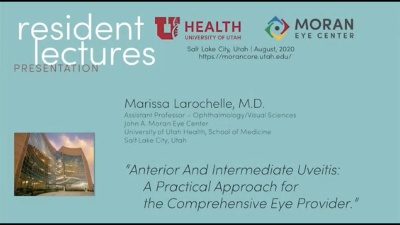 Anterior and Intermediate Uveitis: A Practical Approach for the Comprehensive Eye Providers