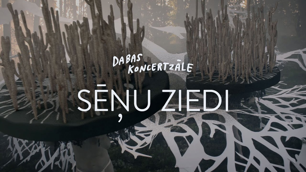 Dabas koncertzāle – Sēņu ziedi