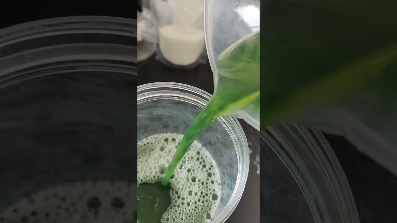 pure liquid seaweed extract, seaweed extracts formulation