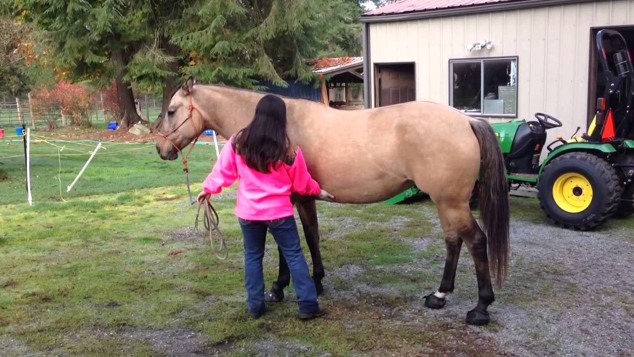 Ally doesn't like her udders touched.
