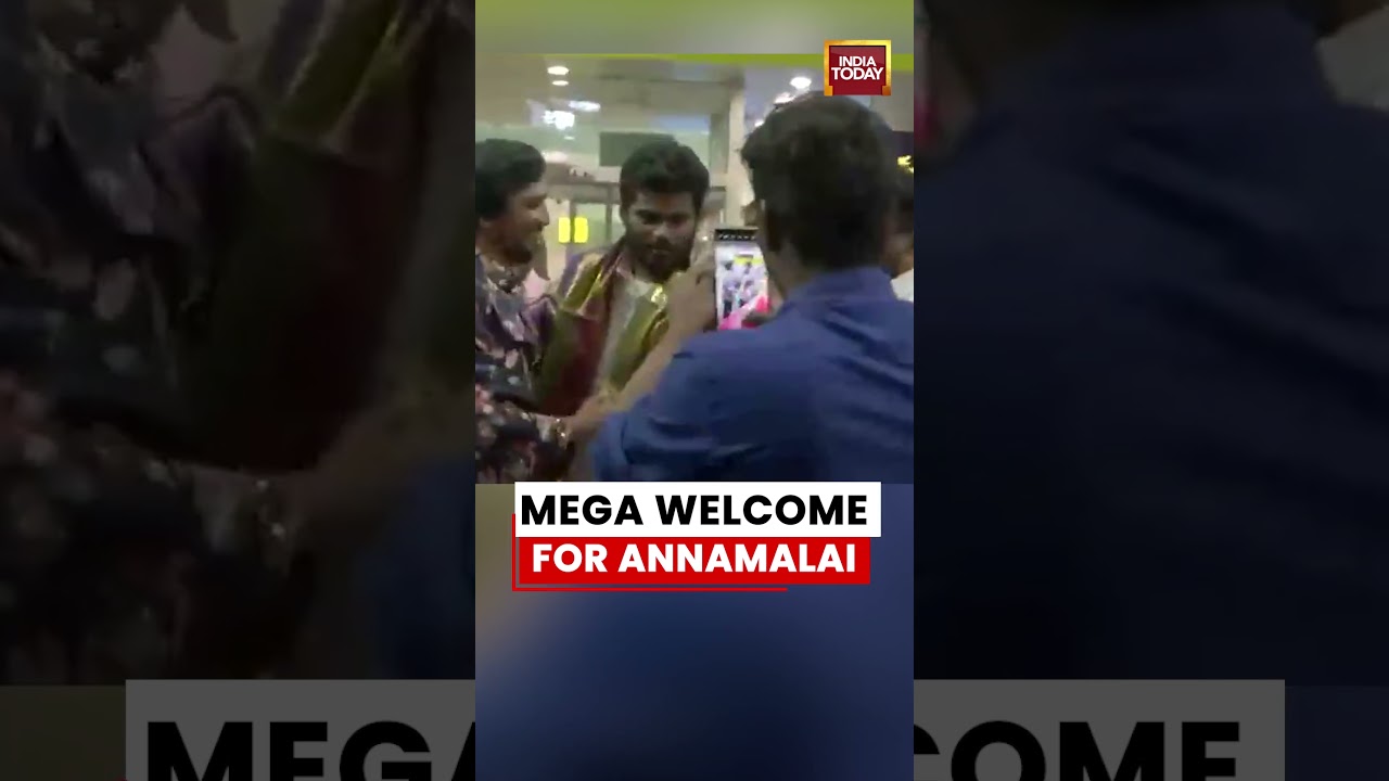TN News: Mega Welcome for Annamalai at Chennai Airport After Return to Tamil Nadu #annamalai