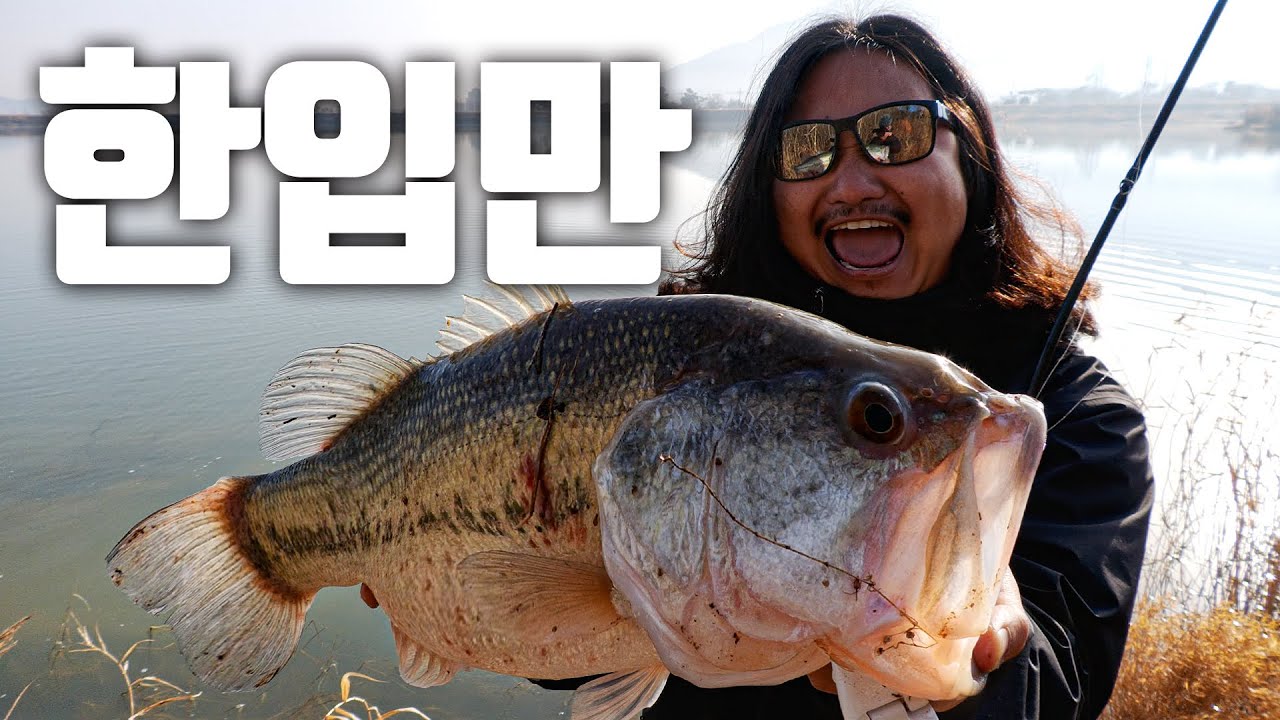 대한민국 배스는 이런건 한입에 삼킵니다 ㅣ MIR.JR