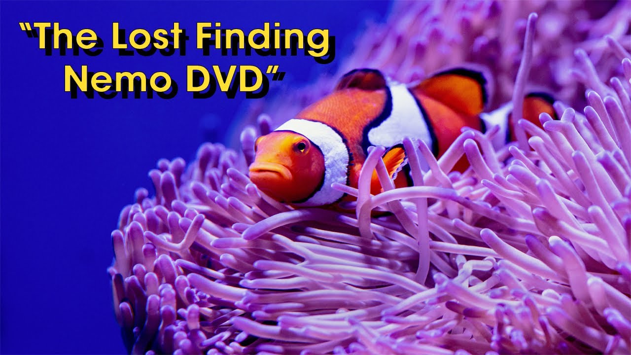 DVD «Потерянный фильм в поисках Немо» Pixar Creepypasta