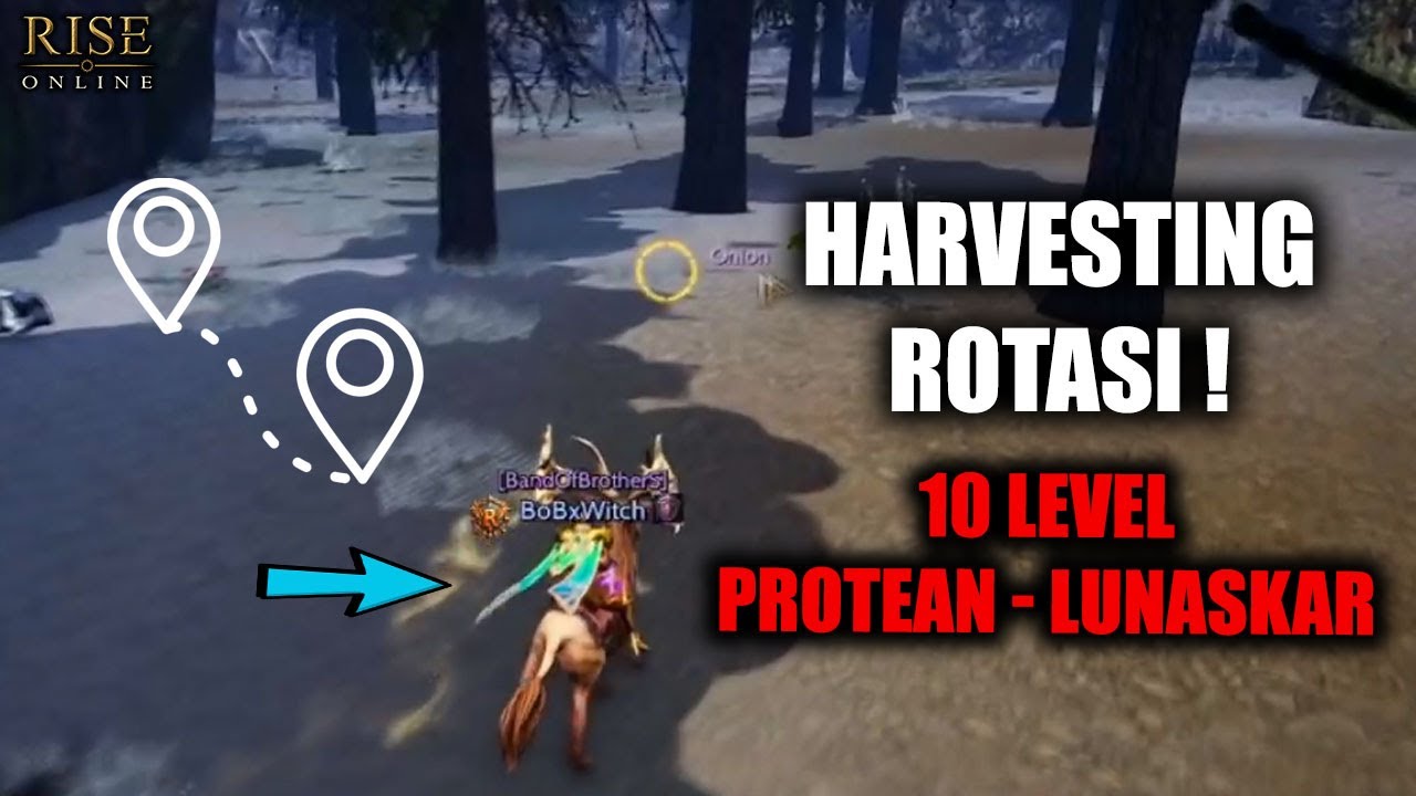 🍅 RİSE ONLİNE HARVESTİNG ROTASI ! - 10 LEVEL - Rise Online Rehber