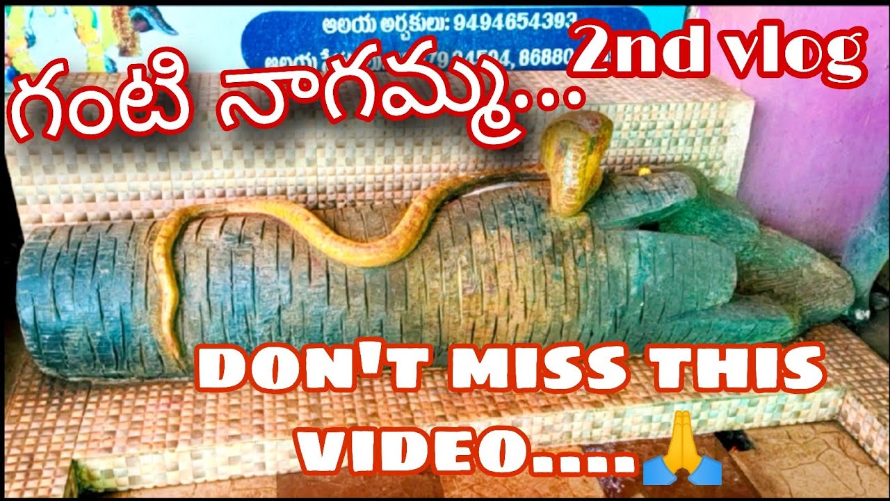 temple vlog || ganti nagamma thalli || vaarala thalli ||