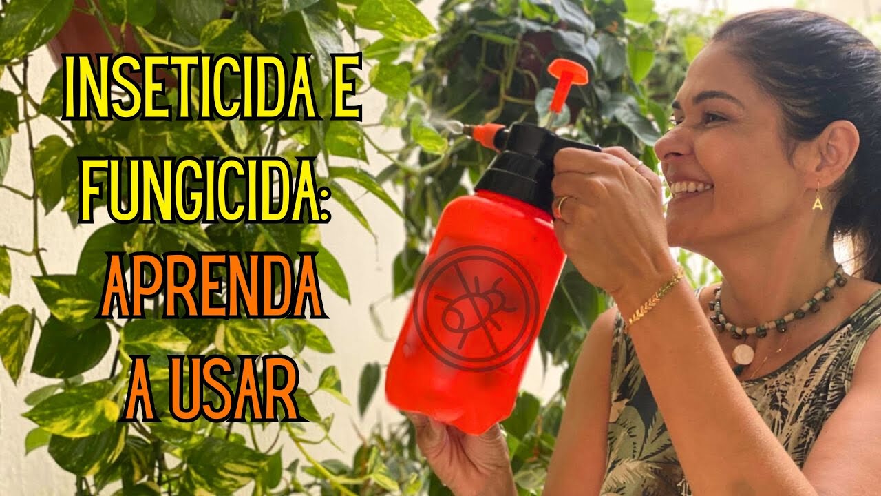 PRAGAS E DOENÇAS: Como aplicar inseticida e fungicida nas plantas