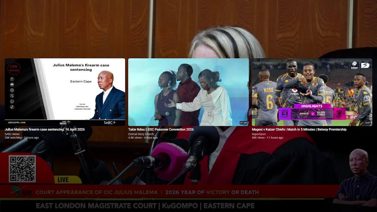EFF President Julius Malema's firearm case sentencing: 16 April 2026