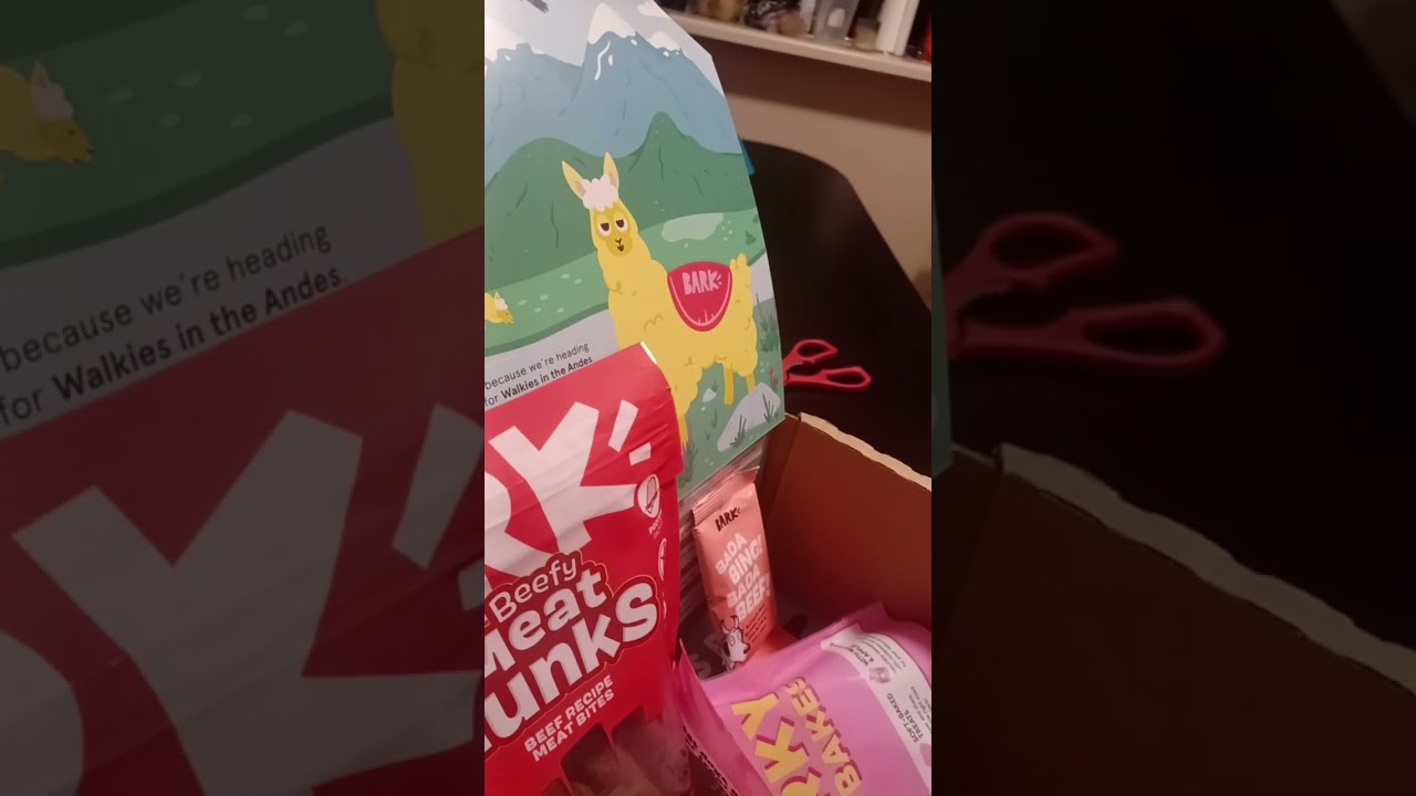 Bella Marie's August 2024 Barkbox