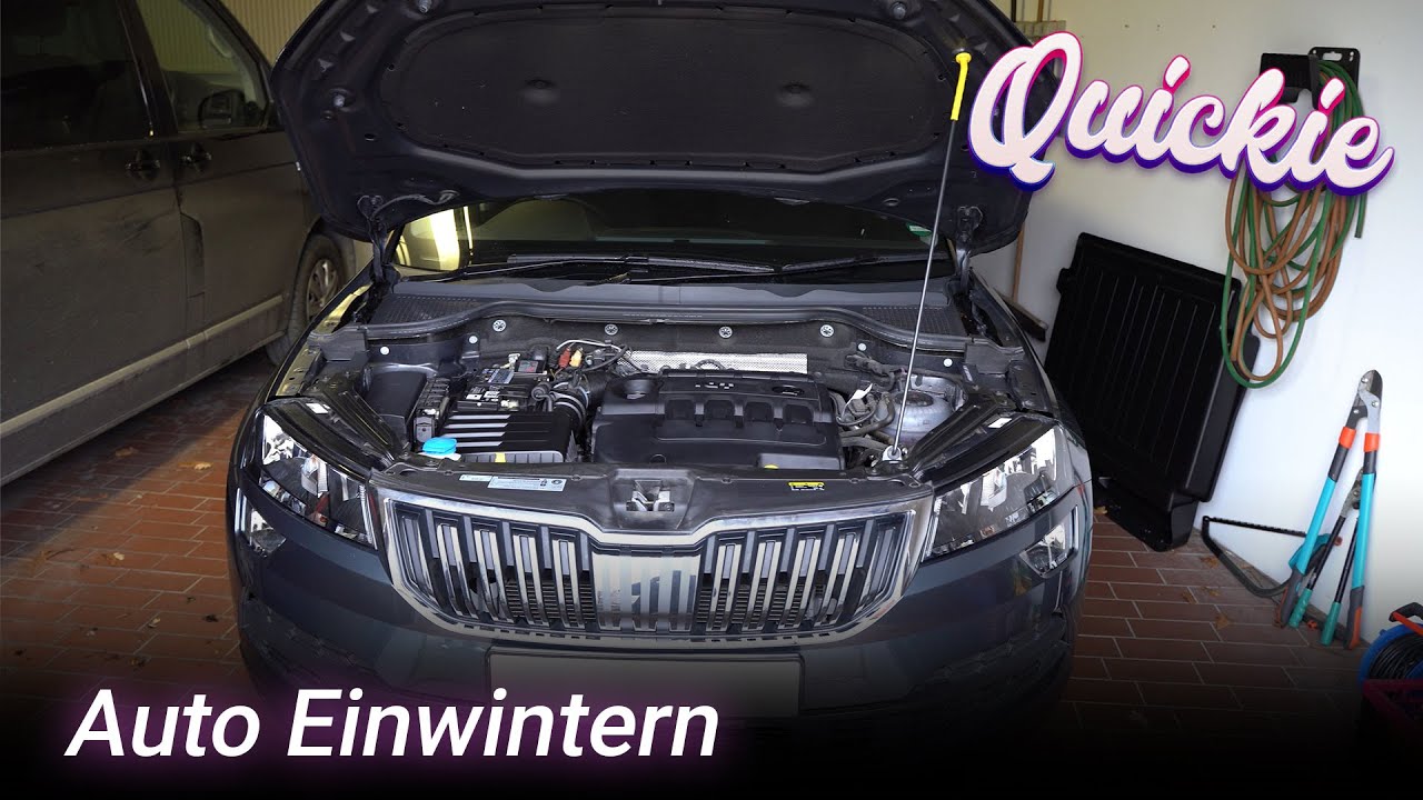Auto Einwintern / Überwintern | Checkliste | Tipps für den Winterschlaf | Quickie