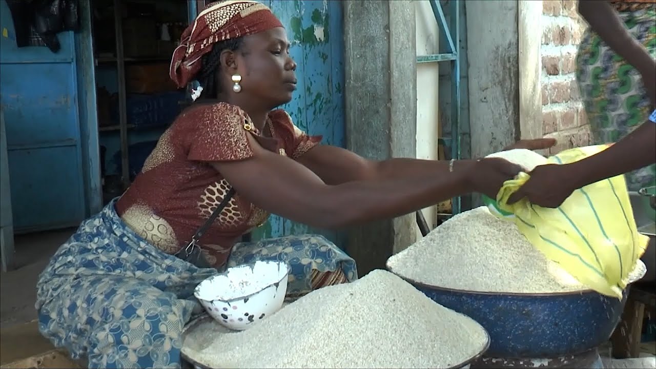 Le développement de la filière riz au Cameroun