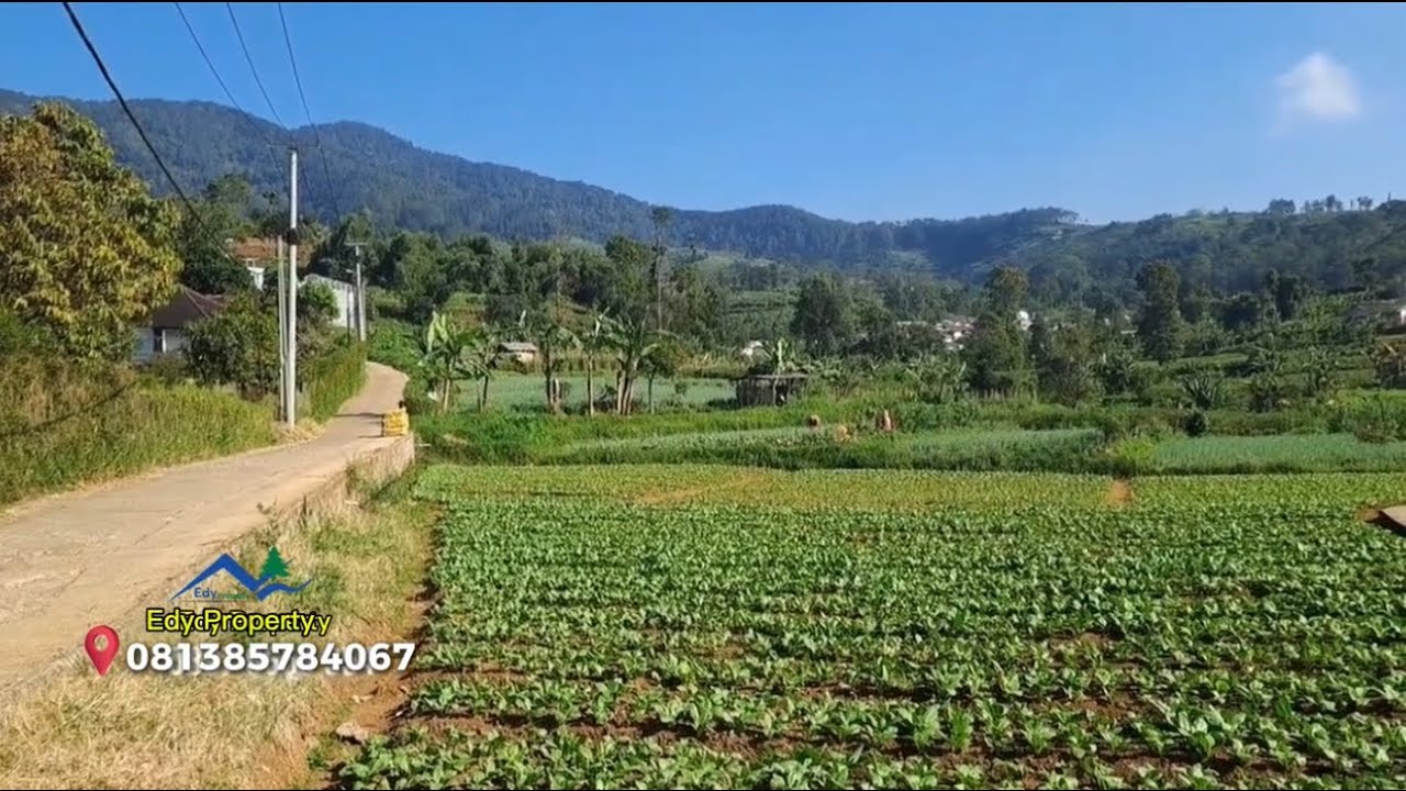 DI jual tanah monutain view  Ciloto Puncak 1,5 hektar 600.000 per meter / nego SHM 