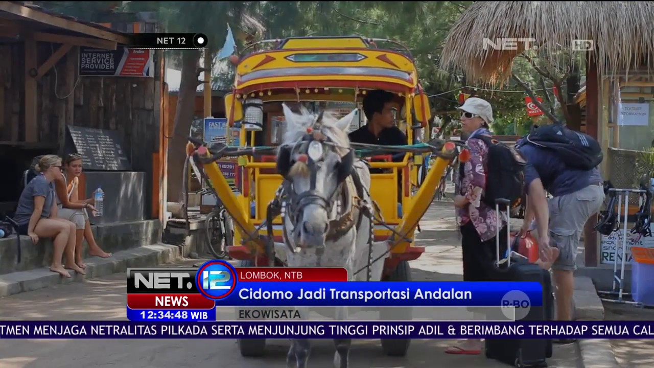 Cidomo, Transportasi Kuda yang Pikat Wisatawan di Gili Trawangan Lombok - NET 12
