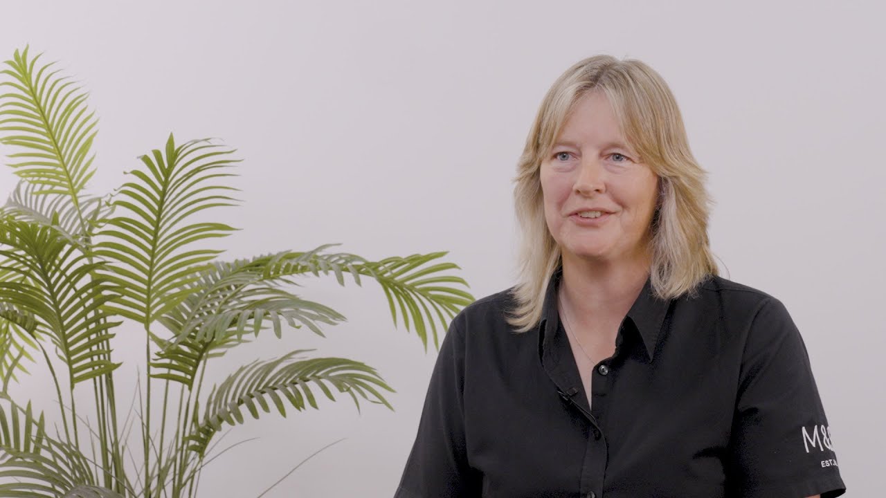 Career advice on becoming an operation transformation lead