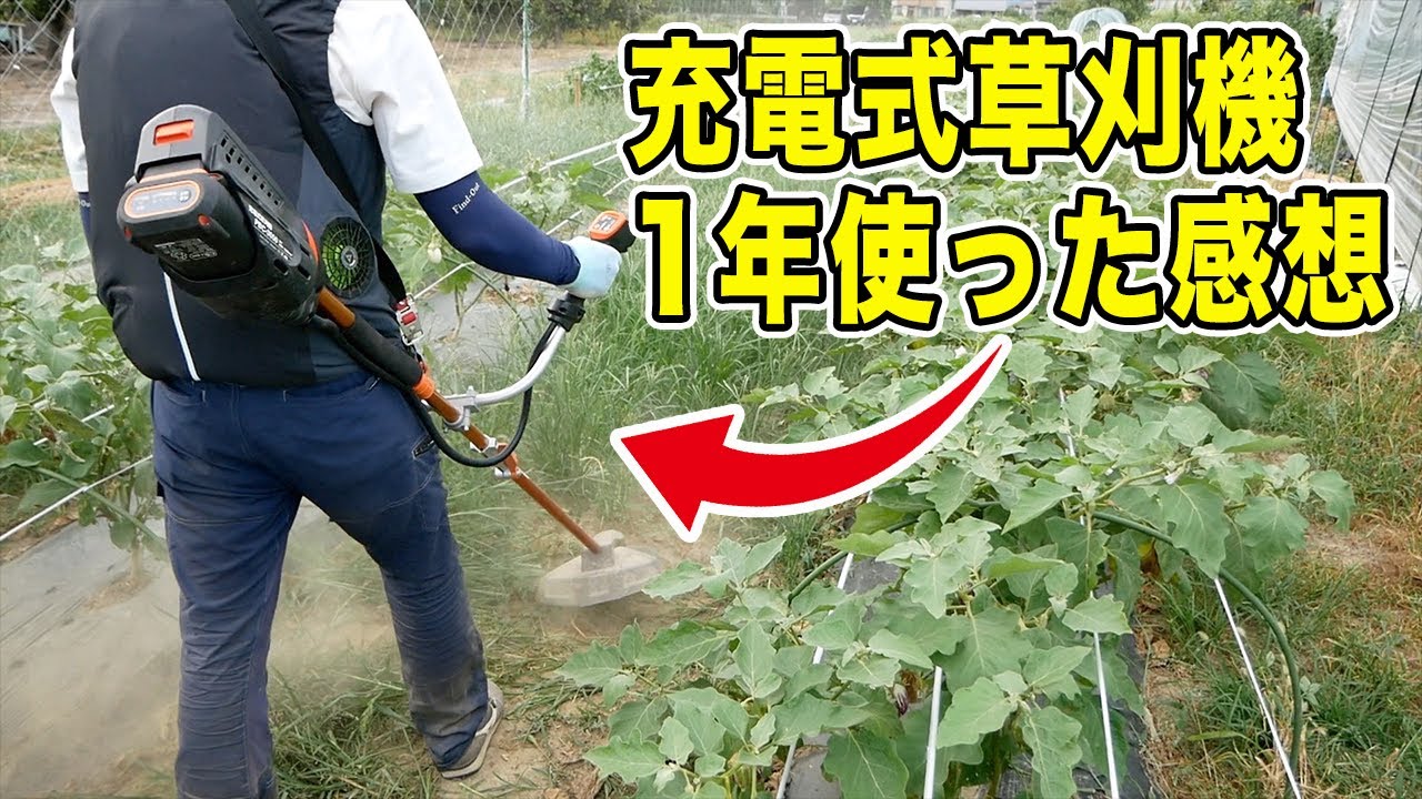 充電式草刈機1年使った感想　パワーは？バッテリーの持ちは？