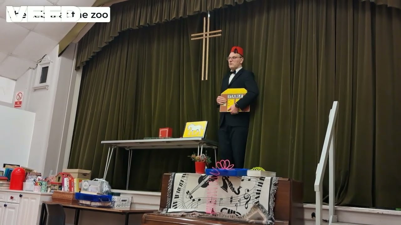 The zebra at the zoo