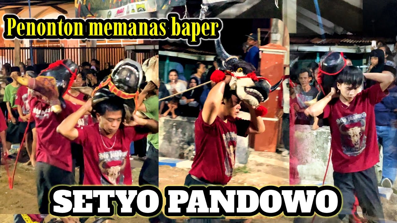 PENONTON BAPER || BANTENG SETYO PANDOWO live cakalan tirtomoyo - pakis