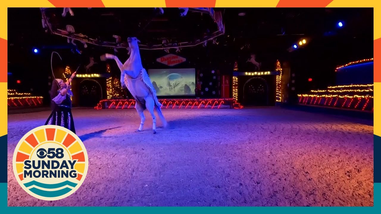 'They're just so magnificent': Dancing horses return to impress audiences near Lake Geneva