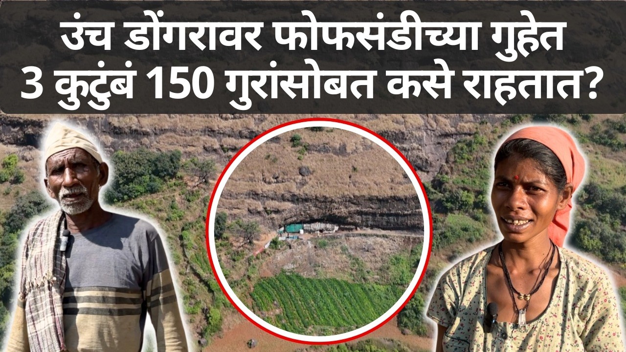 सह्याद्रीच्या डोंगररांगेतल्या फोफसंडीच्या गुहेतला 3 कुटुंबांचा संसार. | BBC News Marathi