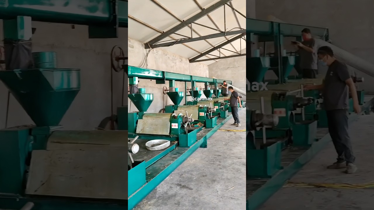 Cottonseed oil press machine automatic cotton seed oil mill production plant H6YP-130