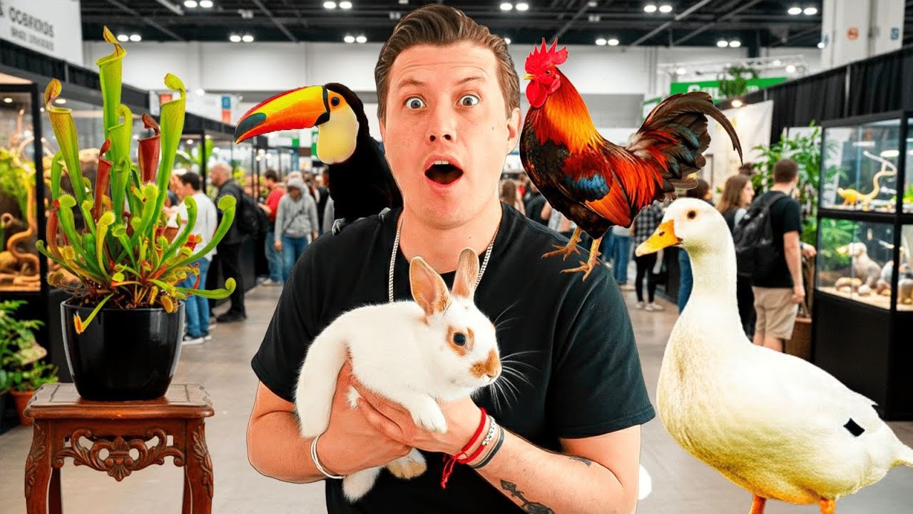 Los ANIMALES mas raros de verde y salvaje expo de animales