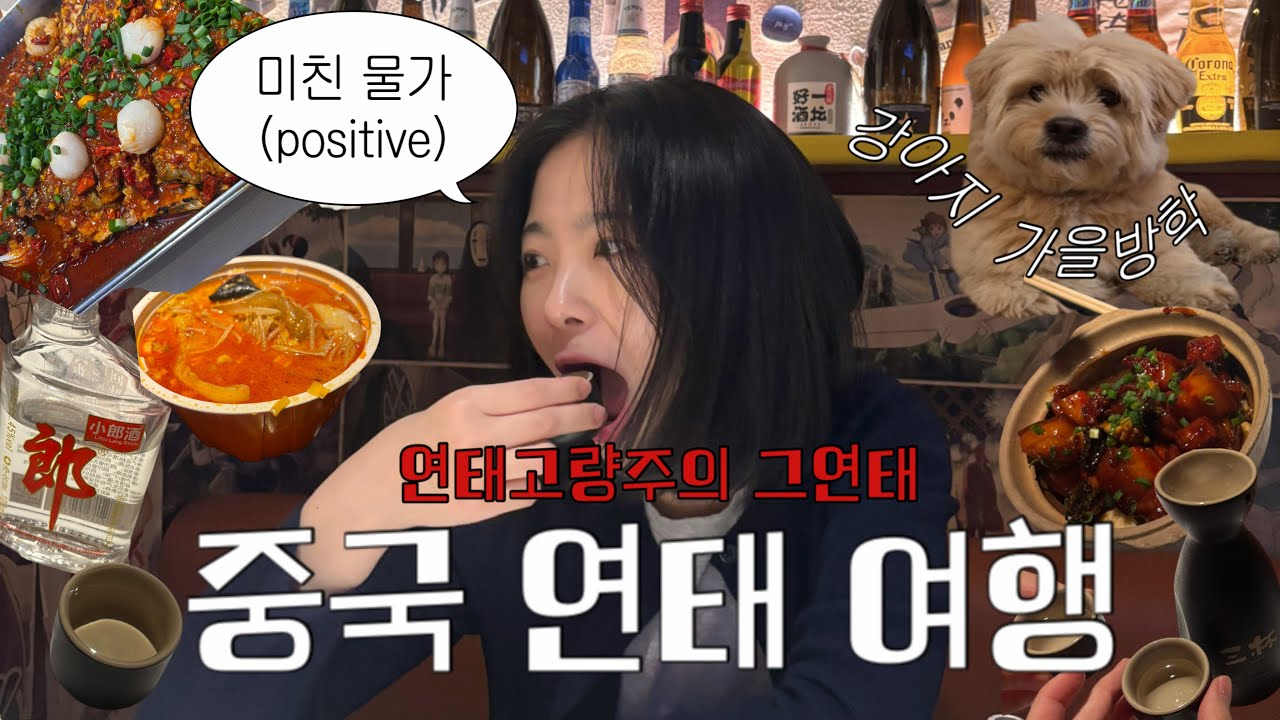 🇨🇳중국 연태여행 브이로그_미친물가(?)| 풀만호텔, 카오위🐟, 양꼬치, 고량주 추천(ft. 강아지 방학과 중국 첫경험)