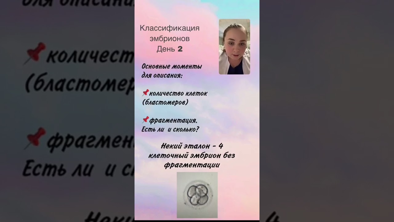 О классификации эмбрионов
