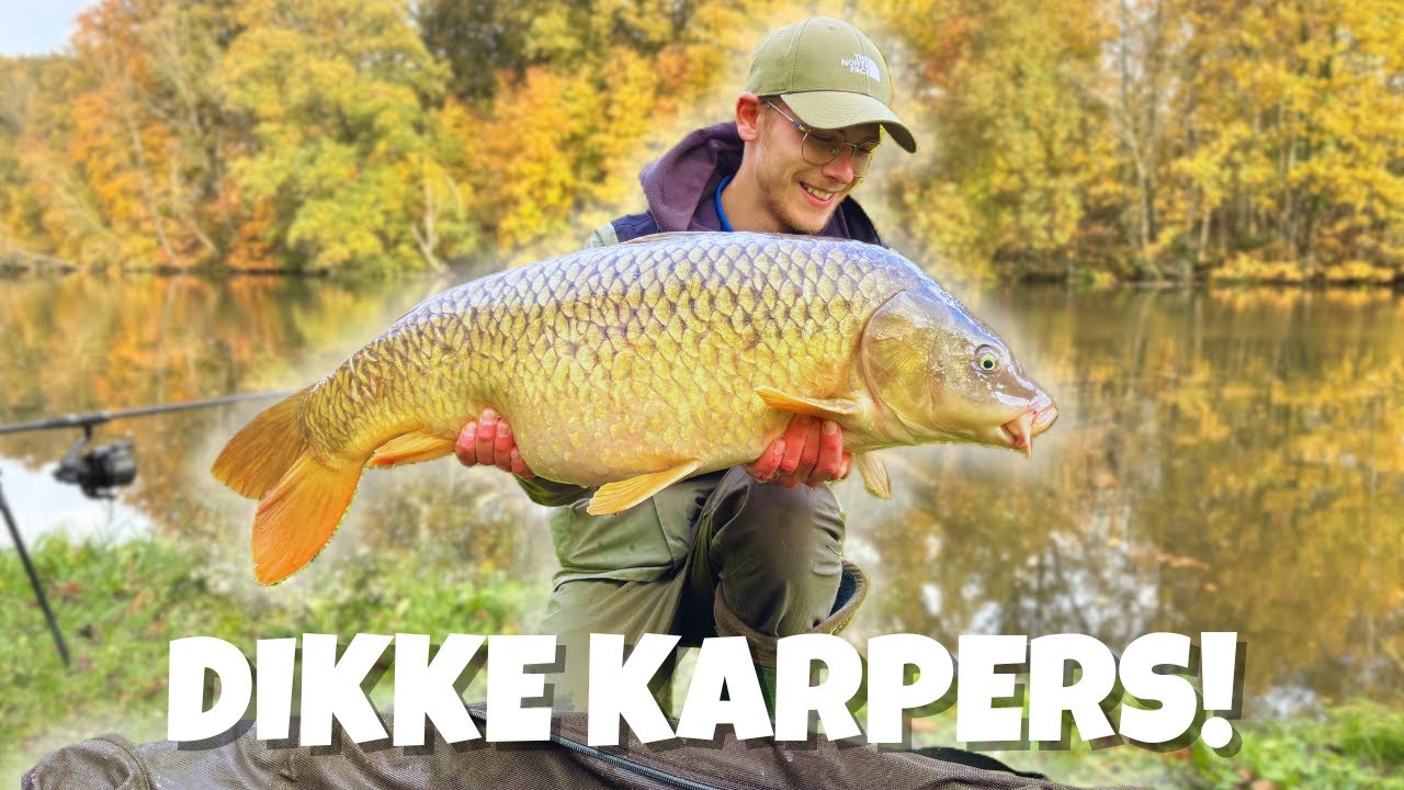 DIKKE KARPERS in het NAJAAR! - Karpervissen | VISbazen #46