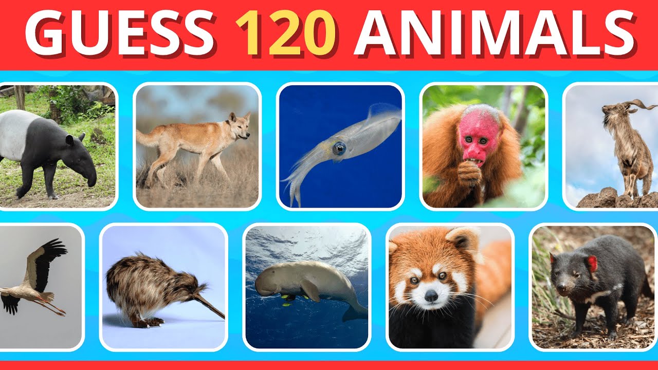 Guess the Animals in 5 Seconds ⏱️ | 120 Questions Fun Quiz Challenge