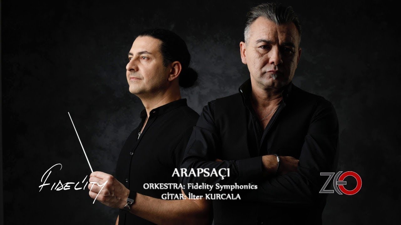Fidelity - Arapsaçı