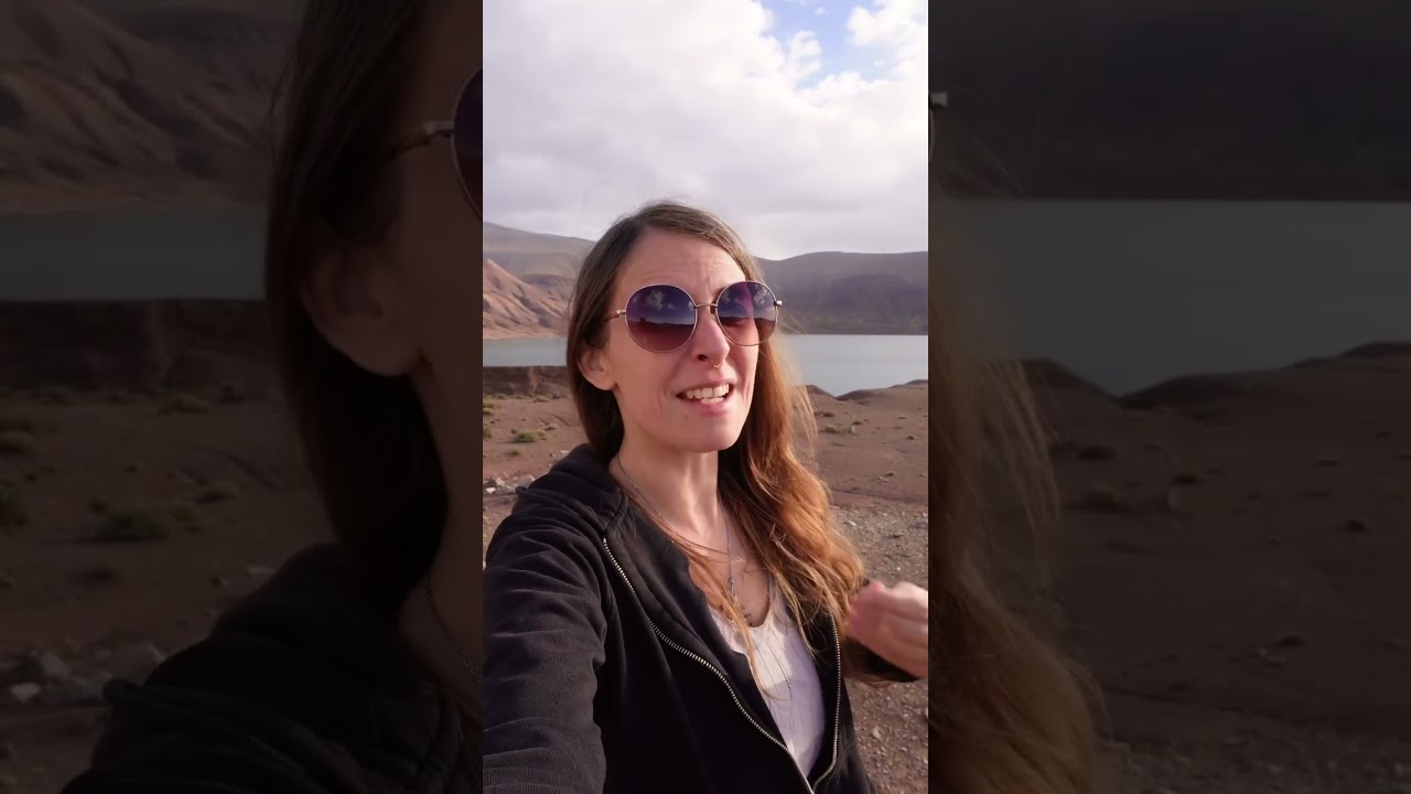 Voyager avec des chiens au Maroc : les formalités ￼