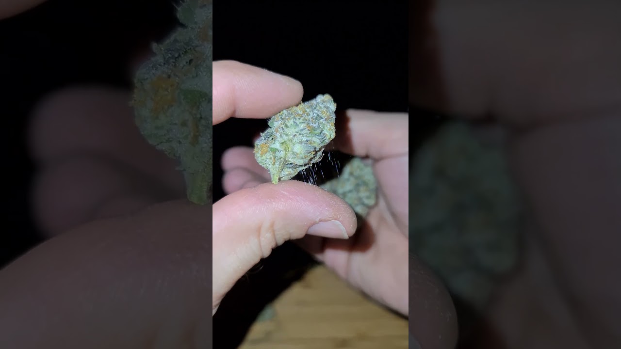 🌱🚀 Original OreoZ 🍪🥶