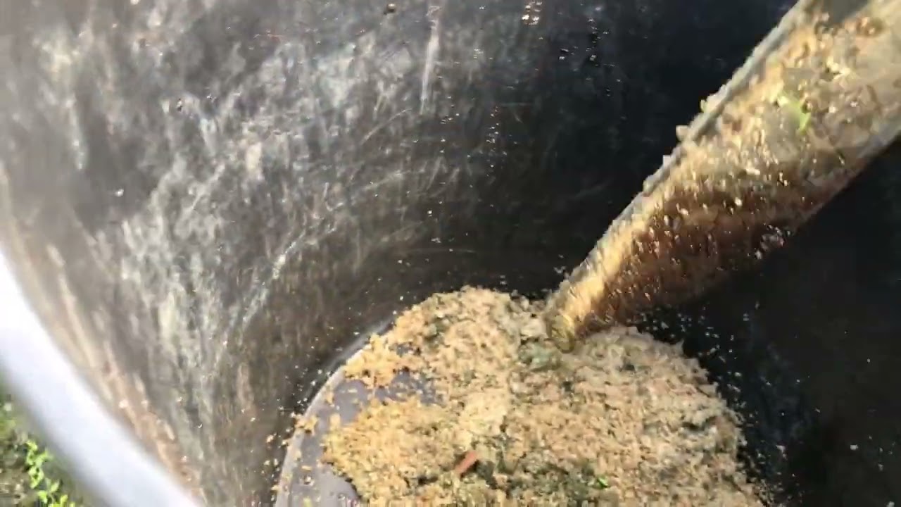 Week 135 First Sand Maintenance in 2 years!