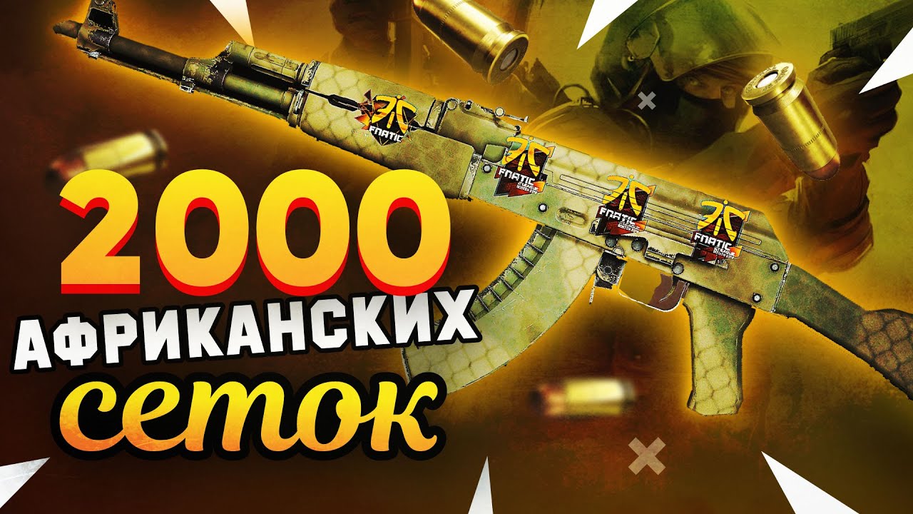 Купил 2000 AK-47 | Африканская Сетка в КС:ГО и Нашел РЕДКИЕ Наклейки Фаната Fnatic