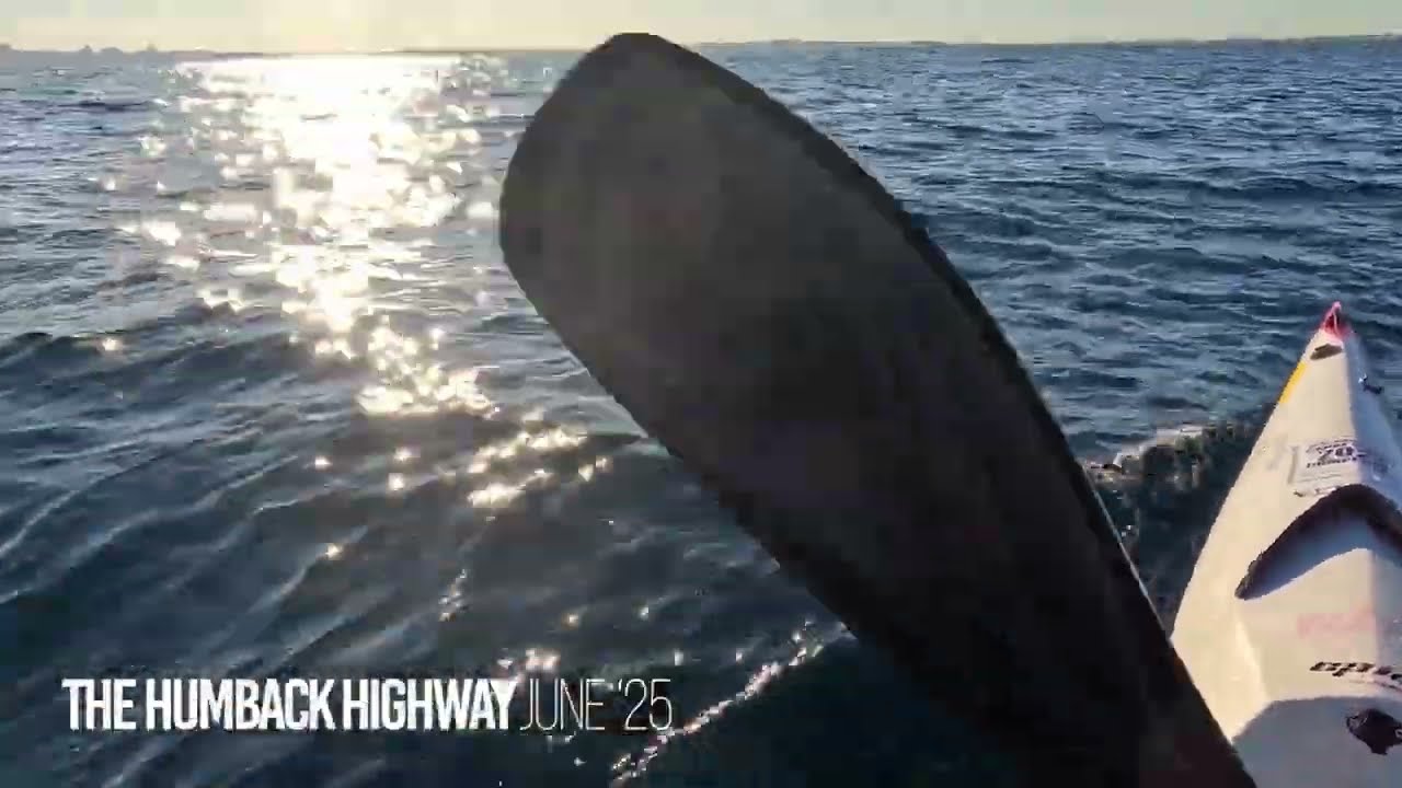 Surfskis and Humpbacks