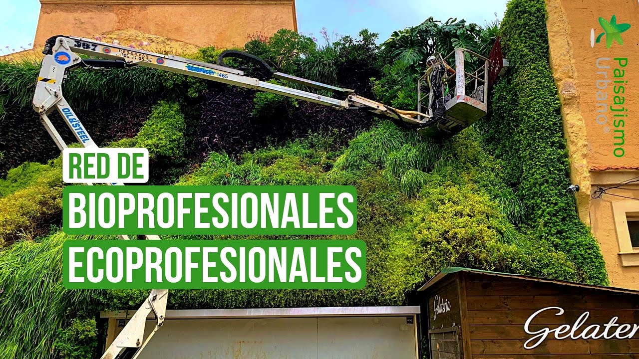 ECOPROFESIONALES DE LA JARDINERÍA VERTICAL
