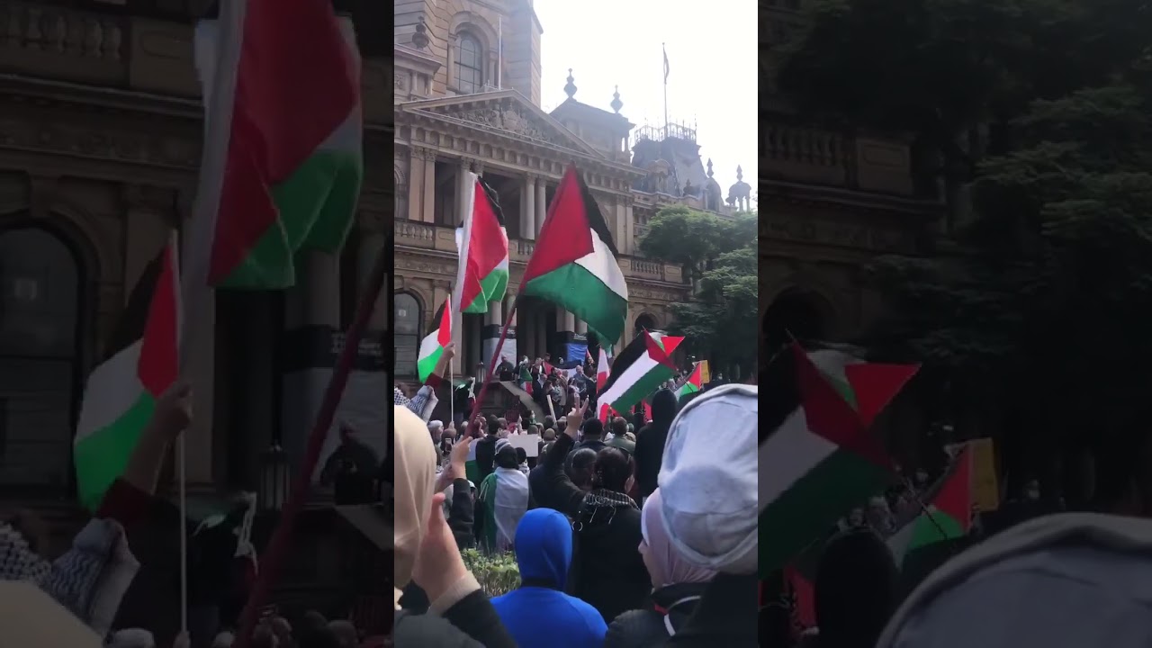 Protesters Wave Flags and Chant During Pro-Palestine Rally in Sydney