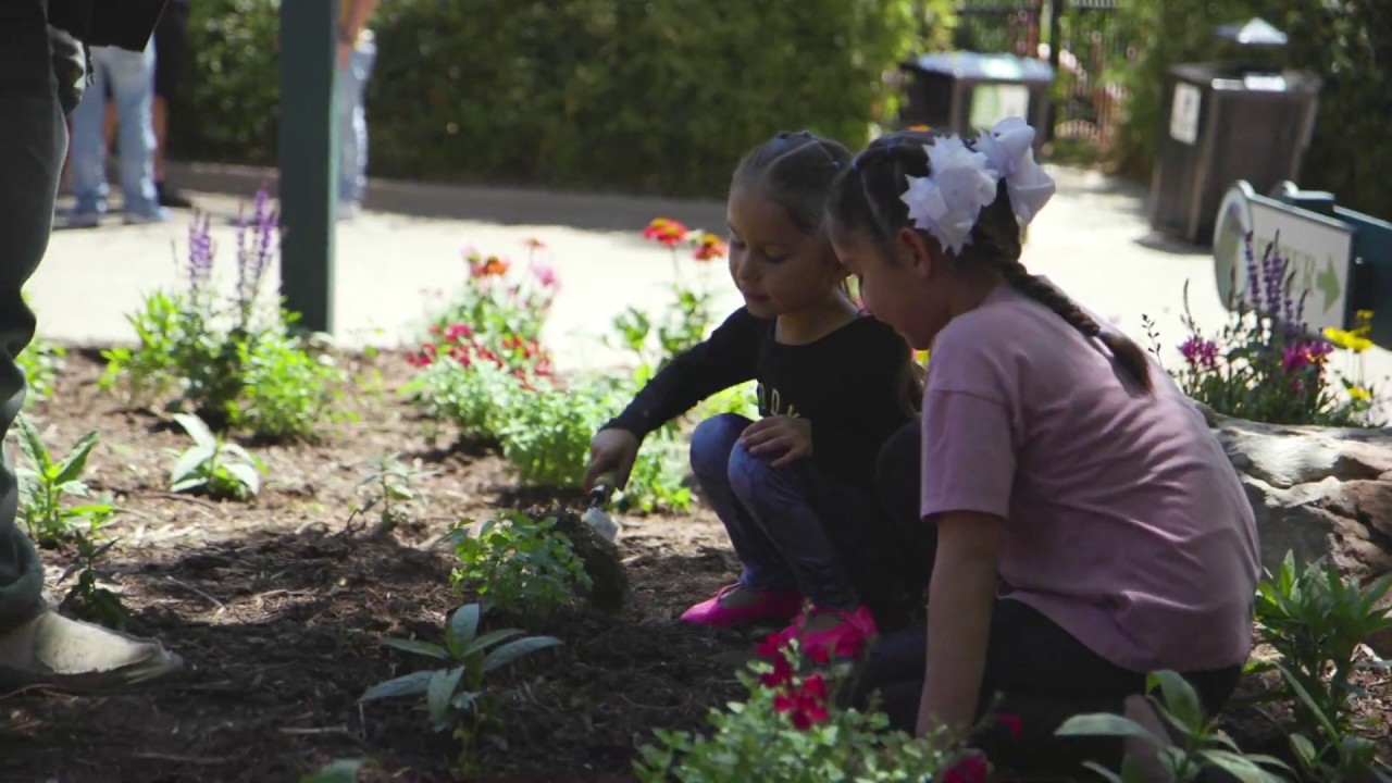 Party for the Planet: Oklahoma City Zoo and Botanical Garden