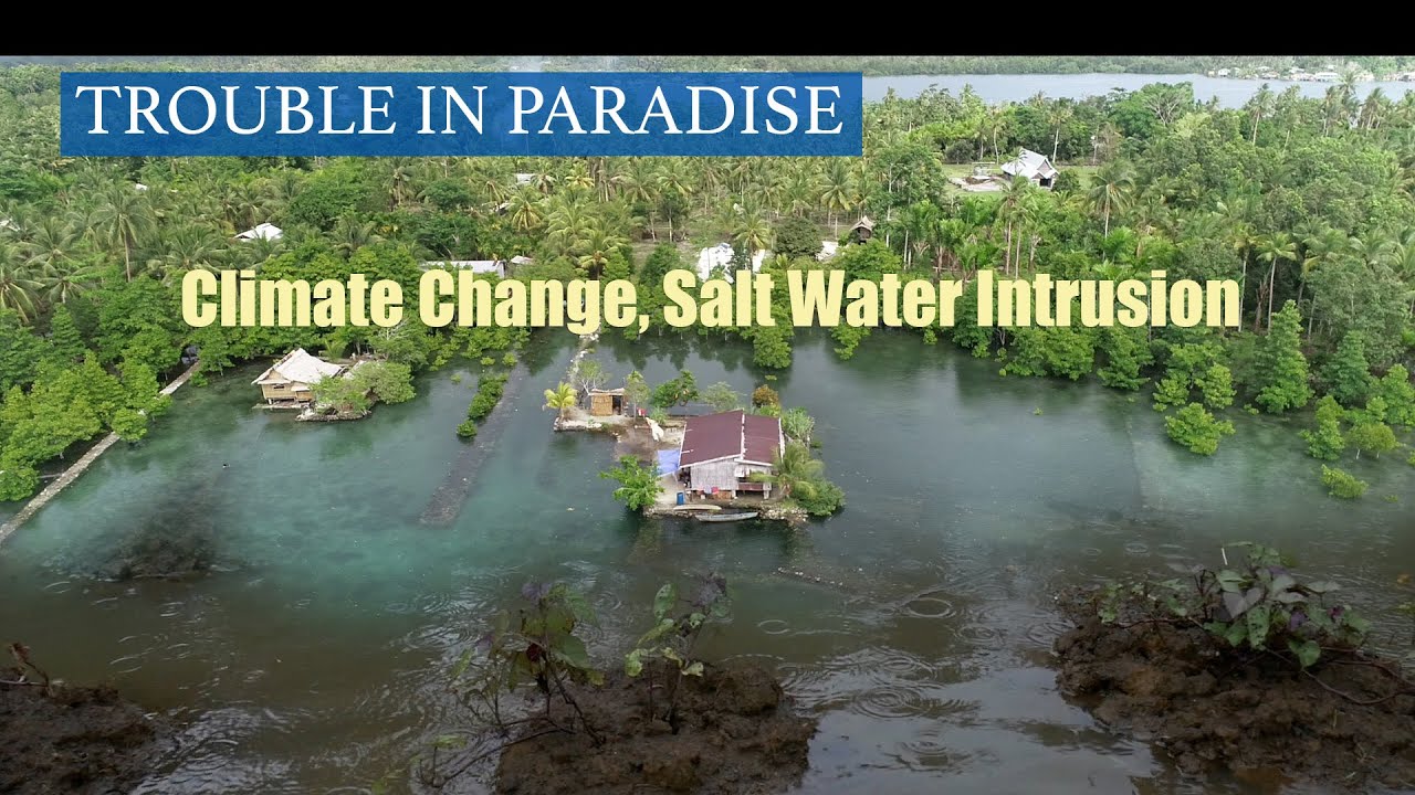 Climate Change, how the rising sea level has threatened food security.